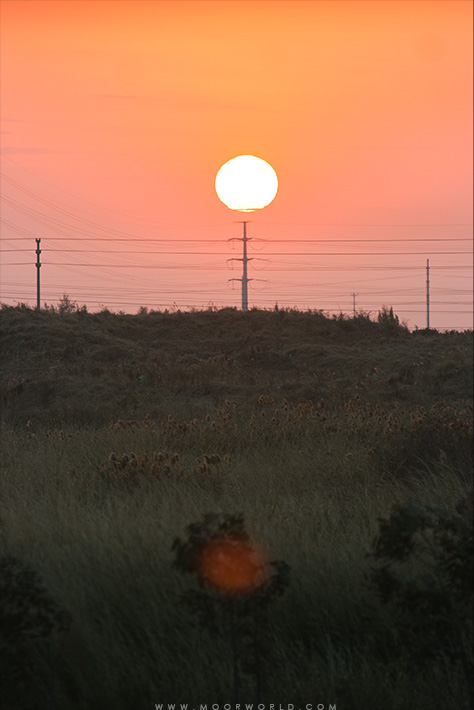 20110104.jpg