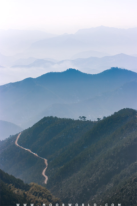2011041401.jpg