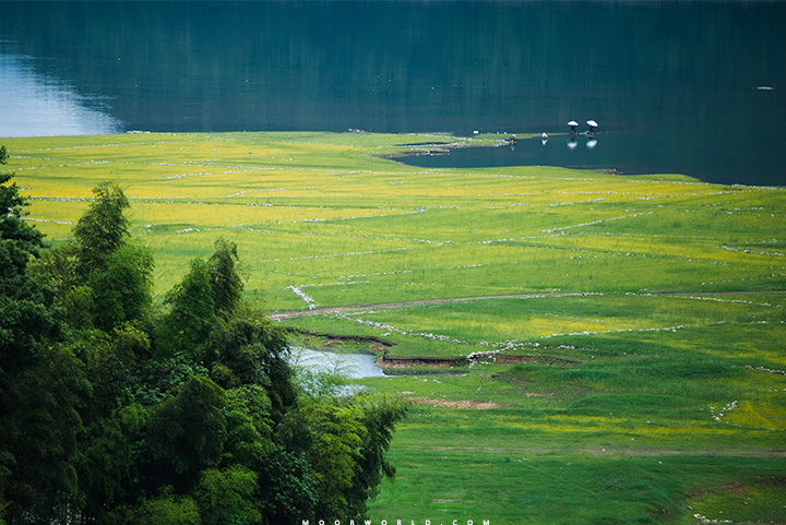 2011062101.jpg