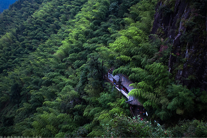 2011092615.jpg