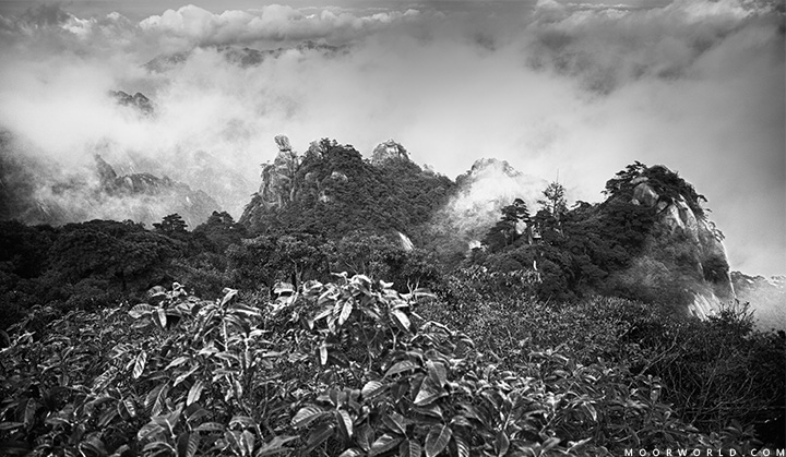 2011092640.jpg