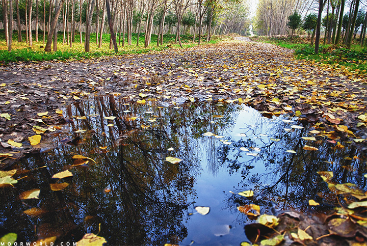 2011112807.jpg